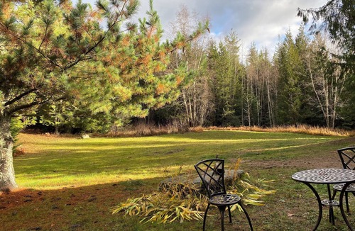 Boundary County Cabin | Cozy cabin in tranquil private forest retreat with miles of private hiking!