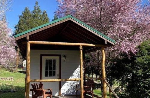 Idleyld Park Cabin | Cozy Cabin near Trailheads and Waterfalls in the Umpqua National Forest, Oregon