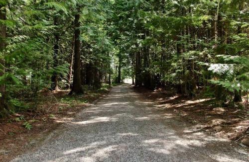 Blanchard House | Cozy Cedar Cabin Near Silverwood Theme Park - Sleeps 5 - Quiet & Private
