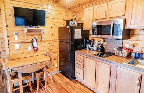 Dandridge Cabin | Cozy Lake Front Park Model on Douglas Lake with Hot Tub!