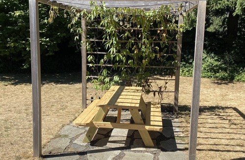 Olympia Cottage | Cozy PNW cottage w/firepit+fenced+dog friendly