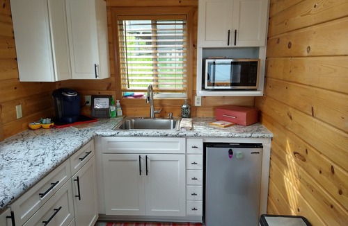 Diamond Point Cabin | Cozy, Salt Water View, Olympic Peninsula Cabin