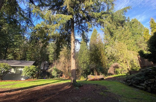 Marshall Park House | Creekside getaway close in with trees, creek, and deer. Newly remodeled!