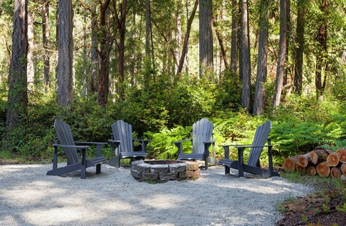 Anderson Island House | Dog friendly cabin + hot tub, nestled amongst the trees