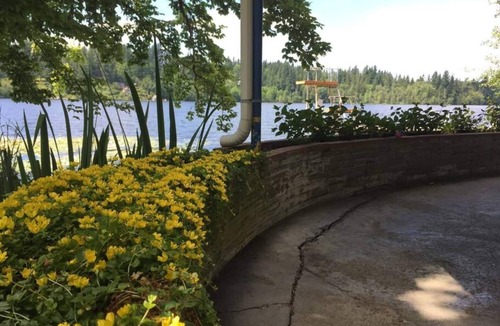 Eatonville Cottage | Enjoy waterfront serenity! Boating, swimming, fishing, and wildlife watching at your front door