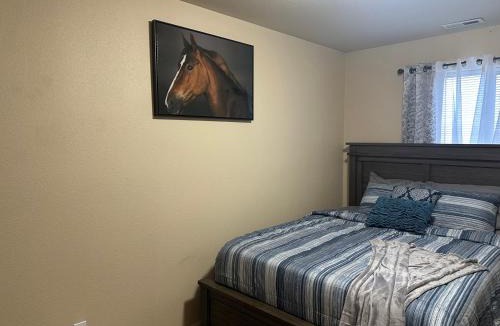 Williston House | Entire 4br and 2ba at center of Downtown