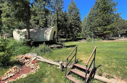 Alton Cabin | Experience the Wild West in Luxury!