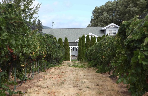 Hood River House | Family Friendly Home In Vineyard next to Award Winning "Cathedral Ridge Winery."