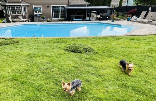 Puyallup House | Family vacation house; no parties/events