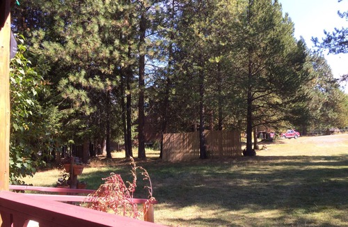 Bonners Ferry Cabin | Farm, Orchard, animals, mini horse and abundant Wildlife, close fishing