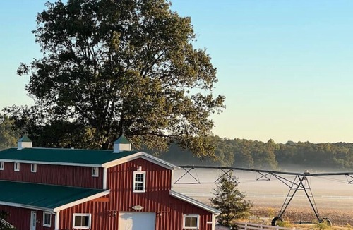 Mercer House | Farming resort; rustic meets luxury