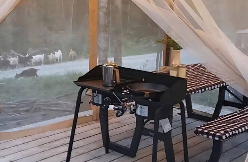 Clark Fork Cottage | Forest Glamping Dome in Clark Fork