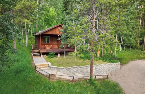 Victor Cabin | Forget Me Not Cabin in the Woods w/Wood Stove, Wifi, W/D, Pet Friendly!