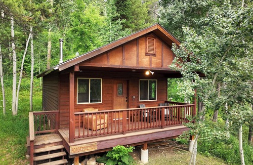 Victor Cabin | Forget Me Not Cabin in the Woods w/Wood Stove, Wifi, W/D, Pet Friendly!