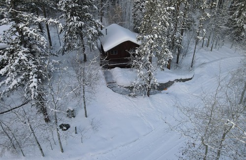 Victor Cabin | Forget Me Not Cabin in the Woods w/Wood Stove, Wifi, W/D, Pet Friendly!