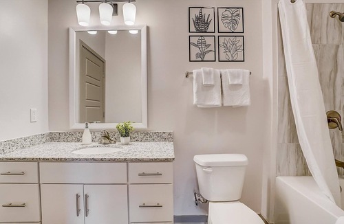 Forest Park Apartment | Frontdesk | 1 BR Apt near Botanical Gardens
