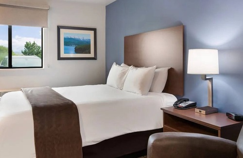 Meridian Hotel | Fully-Equipped Kitchen & Pet Welcome in Relaxing Room at Meridian