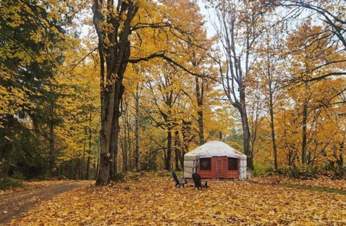 Buckley RV Rental | Gaia Yurt · Most Secluded · Forest Glamping · Sleeps 3 · Hot Tub
