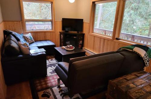 Glacier Apartment | Glacier Hideaway - Mt Baker Cabin - AC, Hot Tub, BBQ, Hiking, WiFi