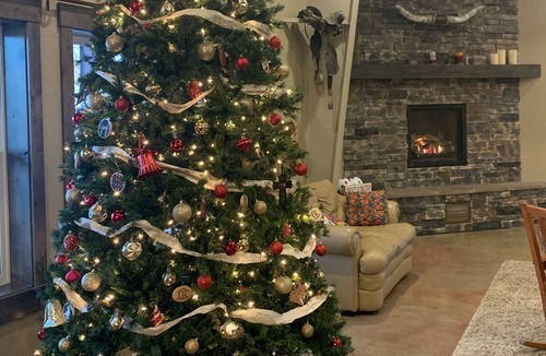 Nampa Cabin | Great for your Holidays! Group! Family!