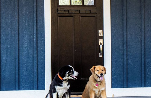 McCall House | GREAT REMODELED PET FRIENDLY COTTAGE! Walk to downtown and and the lake!