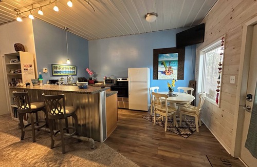 Newaygo Apartment | Great room w/pool table in a 1-bdrm party barn in Newaygo; River access