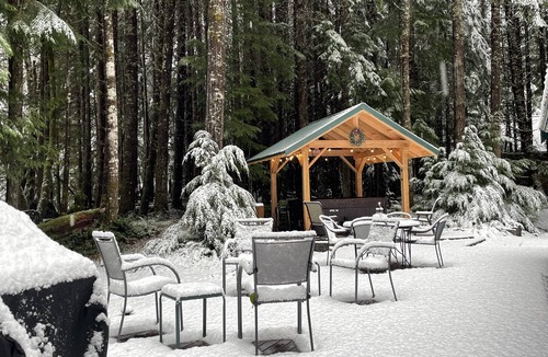 Enumclaw Cabin | Hike Greenwater, Mt. Rainier, Sunrise Visitor Center & Crystal Mountain Sleeps 6