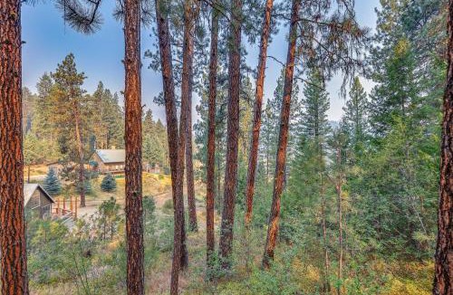 Garden Valley House | Hillside Hideaway: Warm & Cozy Terrace Lakes Cabin