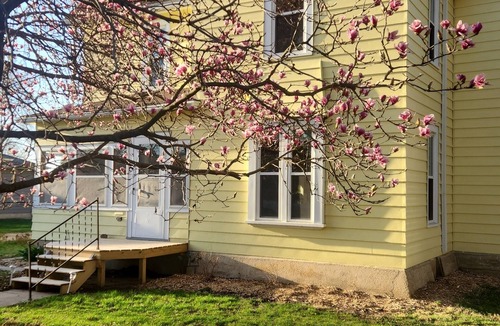 Iowa Falls House | Historic 1898 4BR Home - 3 King + 1 Queen - Wooded Backyard Retreat