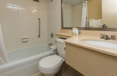 Downtown Des Moines Hotel | Holiday Inn Des Moines-Downtown-Mercy Campus by IHG