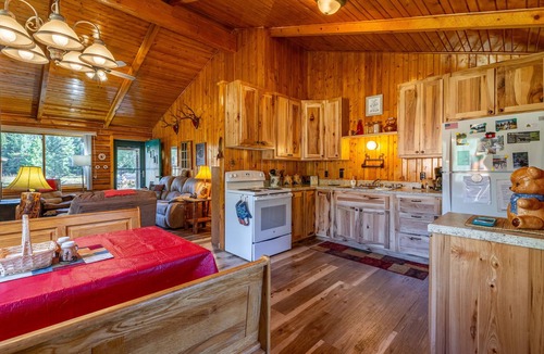 Park County Cabin | Holler's Hideout- Pet Friendly, Family Cabin, Mountain Views