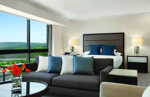 Hoover Hotel | Hyatt Regency Birmingham-The Wynfrey Hotel