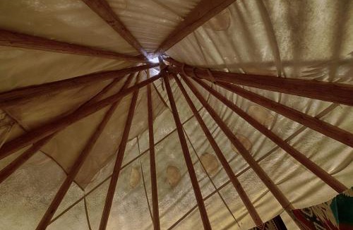 Garden Valley Other | Incredible Secluded Tipi Nestled Amidst Trees and Fire Pit Provided in Garden Valley, Idaho