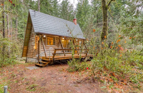Mount Hood Village Cabin | Intimate dog-friendly retreat with free WiFi, wood stove, & gas grill