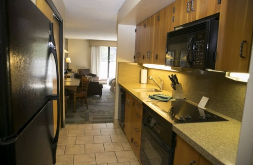Salt Lake Mountain Resorts Condo | Iron BlosSnowbird unit 1010, South Facing Efficiency Closing week