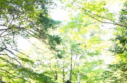 Allouez Cabin | Keweenaw Rustic Cabin near the Gratiot River, Keweenaw Natural Areas Nonprofit