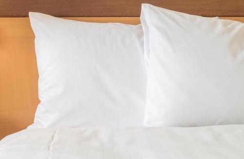 Jackson Apartment | King Bed Hotel Room 251