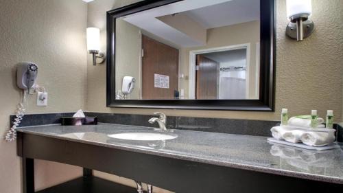 Jackson Apartment | King Bed Hotel Room 251