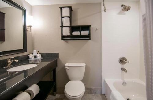 Jackson Apartment | King Bed Hotel Room 251