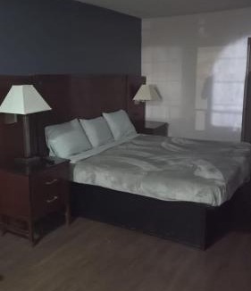 Jackson Apartment | King Bed Hotel Room 251