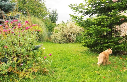 Saint-Marcel Bed & Breakfast | La Maison d'Alexia