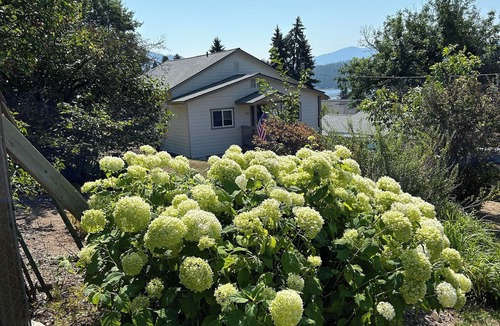 East Hope House | Lake view 3-bedroom house in lovely Hope Idaho 5 min to lake . Enjoy your stay
