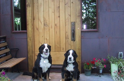 Teton Village House | Large Lodge Style Mountainside Ski Chalet, Great Amenities, Amazing Location!