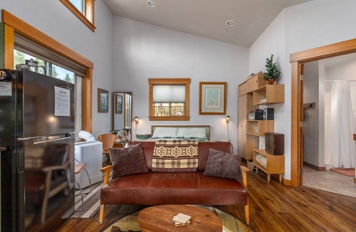 Packwood Apartment | Little Big Fish | BBQ, AC, Rainier View