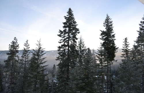 Ardenvoir Cabin | Log Cabin Mountain Views, secluded on 5 acres, Leavenworth 18 m, Stevens 31 m