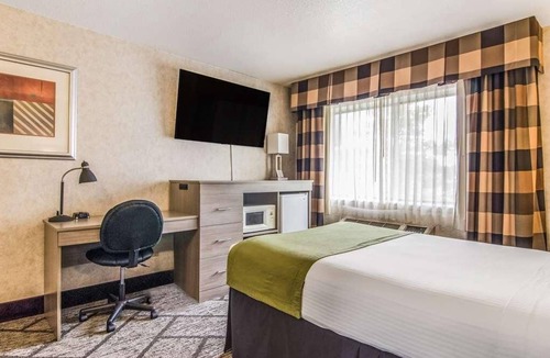 Poulsbo Hotel | Look No Further! Pet-friendly Property with FREE Parking and Breakfast!