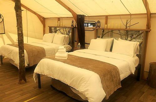 Forks Other | Luxurious Safari Tent for an Unforgettable Glamping Escape near Forks, Washington