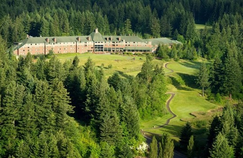 Stevenson Cabin | Luxury Tree House into the Heart of Washington