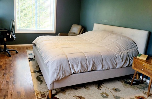 North Image House | Minutes from Vancouver Waterfront, PDX and Dino Park. Spacious Home!