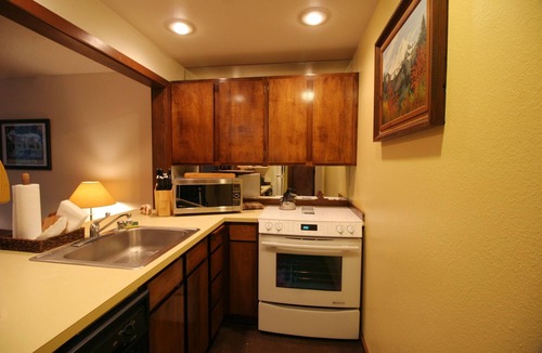 Deming Apartment | Mt. Baker Lodging Condo 28 - Sleeps 4!